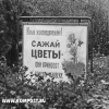 sovok8.jpg